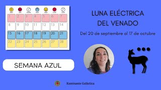 SERVICIO 3° Semana de la Luna Eléctrica del Venado [upl. by Ahseirej381]