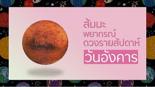 วันอังคารดวงรายสัปดาห์ 1 ถึง 8 กันยายน 2566 ดูดวงส่วนตัวทักแชทเพจ facebook ส้มมะพยากรณ์ [upl. by Barta]