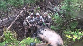 Bowhunting for Elk with Pack Goats [upl. by Anelat]