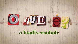 O que é a biodiversidade [upl. by Sivle498]