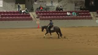 FL Classic Non Pro Derby Gunnabettya And Karen Shedlaukas [upl. by Lek]