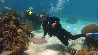 Relaxed Diving in the Caribbean [upl. by Paviour]