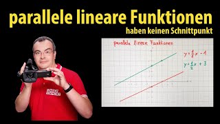 parallele lineare Funktionen haben keinen Schnittpunkt  Lehrerschmidt [upl. by Seravaj]