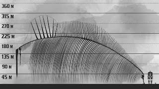 The New Biggest Titan  Attack on Titan Size Comparison [upl. by Jensen]