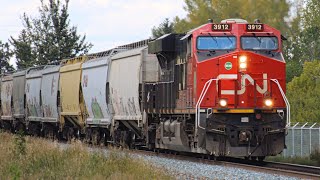 VERY RARE CN ES44AC Leader CN 3912 leading CP Grain train at Edworthy Park on the Laggan sub [upl. by Niobe]