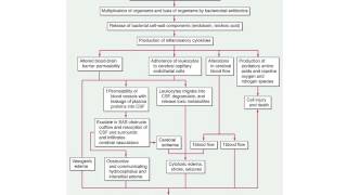 CNS Infections [upl. by Afrika]