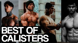 BEST OF CALISTERS  APRIL 2020  Ultimate Calisthenics Motivation [upl. by Yrakcaz]