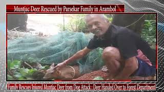 Muntjac Deer Rescued by Parsekar Family in Harmal [upl. by Eleon188]