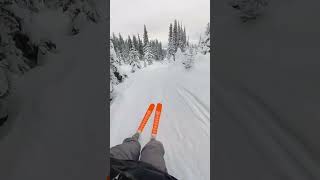 Noob skier hits the side trails  Insta 360 x3 [upl. by Esom]