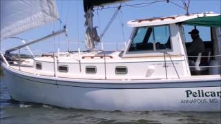 Sailing Cape Dory 30 Motorsailer SOLD Annapolis Fred Hallett light breeze nice cruising sailboat [upl. by Annerahs]