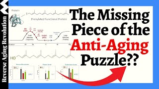 The MISSING Piece of the AntiAging Puzzle A Molecule Essential For Muscle Hormone And More [upl. by Drofnelg19]