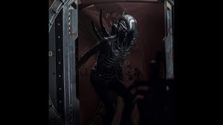 Alien Covenant All Xenomorph Scenes Hunting [upl. by Alano]