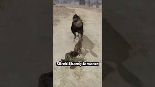 Red Dead Redemption 1de atınızı kızdırmayın [upl. by Natsyrk]