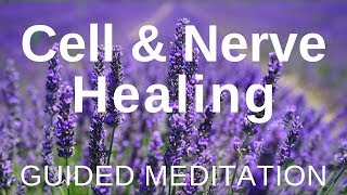 Guided HEAL Meditation  Cell and Nerve Healing Self Healing Meditation [upl. by Mena]