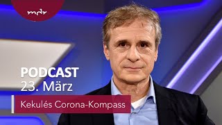 345 Lösten Marderhunde Corona aus  Podcast Kekulés CoronaKompass  MDR [upl. by Gomar740]