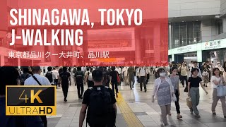 Shinagawa Tokyo  Shinagawa Oimachi  JWalking 4k Walk 🇯🇵 [upl. by Ellerahs]