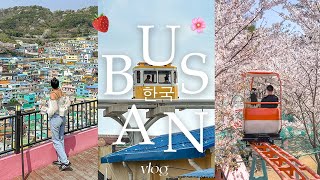 busan in 4 days 🍓 [upl. by Nivac]