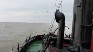 Stoomsleepboot Hugo met windkracht 7 op het IJsselmeer [upl. by Wivinah]