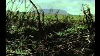 The Great Famine  Part 1 of 2 BBC 1995 [upl. by Faro]