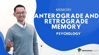 Anterograde and Retrograde Memory [upl. by Dang]