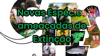 CITES  Duas Novas Espécies incluída  YPE E CUMARU espécie ameaçada de Extinção proibido corte [upl. by Anauqal]