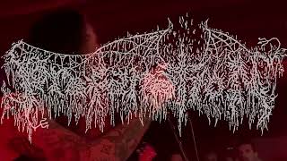 PROFANATION  Skull Crushing Violence Live  No Mans Land IndustryNantes [upl. by Ezana737]