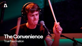 The Convenience  True Fascination  Audiotree Live [upl. by Animsaj570]