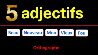 Accord des 5 adjectif qui ont deux formes différentes au masculin  euphonie [upl. by Anahsat]