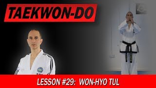 WonHyo Tul  TaekwonDo Lesson 29 [upl. by Gilson]