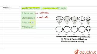 Vexillary aestivation is characteristic of th family  12  MORPHOLOGY OF FLOWERINGPLANTS  BIO [upl. by Hendrickson]