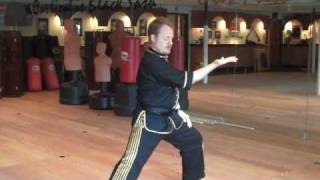 Lesson 2  Lazily Tying Your Coat Chen Tai Chi [upl. by Iot]