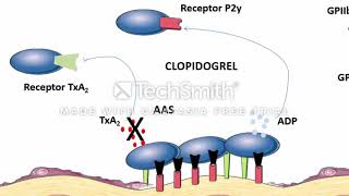 Mecanismo de ação de Antiplaquetários [upl. by Retsila453]