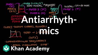 Antiarrhythmics  Circulatory System and Disease  NCLEXRN  Khan Academy [upl. by Teews677]