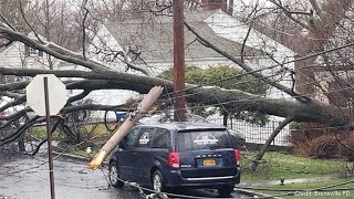 Scenes Of Storm Damage Downed Trees Around Bronxville [upl. by Meyer601]