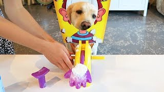 PUPPY vs PIE FACE GAME Super Cooper Sunday 107 [upl. by Novak]