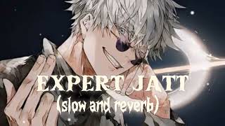 Expert Jatt slow and reverb song  New Lofi song [upl. by Jorin]