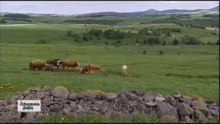 Ardèche  Echappées belles [upl. by Drarig]