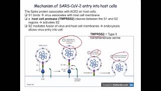 Lecture 9 Vaccines and Immunization [upl. by Harlie]