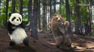 Animal Song Jungle Dance  With Panda Dog Cats and a Bear 2024  By Twiddlie [upl. by Rosmarin756]