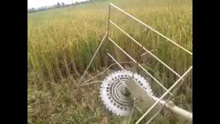 Simple Rice Harvester [upl. by Teodoor]