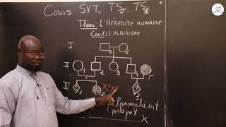 Cours  Terminale S1ampS2  SVT Résumé de cours  Lhérédité humaine  LAlbinisme  Suite 2 [upl. by Walke681]