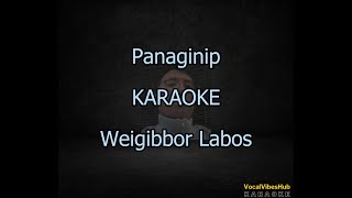 Panaginip KARAOKE Weigibbor Labos Original Key [upl. by Harahs]