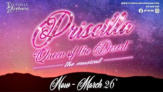 The best of Priscilla Queen of the Desert [upl. by Chessa]