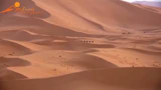 Merzouga desert  The best of sahara desert Morocco  Tuareg music [upl. by Lole]