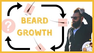 Beard Growth Cycle  The 4 stages of beard growth [upl. by Muffin]