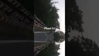 Howrah pul ka video 2024 [upl. by Allissa]