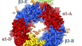 GABAA receptor structural pharmacology [upl. by Roque54]