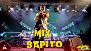 Sapito Mix La Cumbia del Sapito  La Güerita Baila  Miguel Angel Tzul y su Marimba Orquesta 2022 [upl. by Corinna]