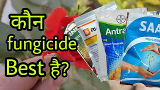 जानिए कौन सा फफूंदनाशी fungicide हमारे पौधे के लिए बेस्ट है how to the best fungicide for plant [upl. by Capp282]