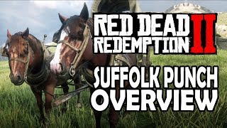 Red Dead Redemption 2 Horses  Suffolk Punch Overview [upl. by Arodnahs]